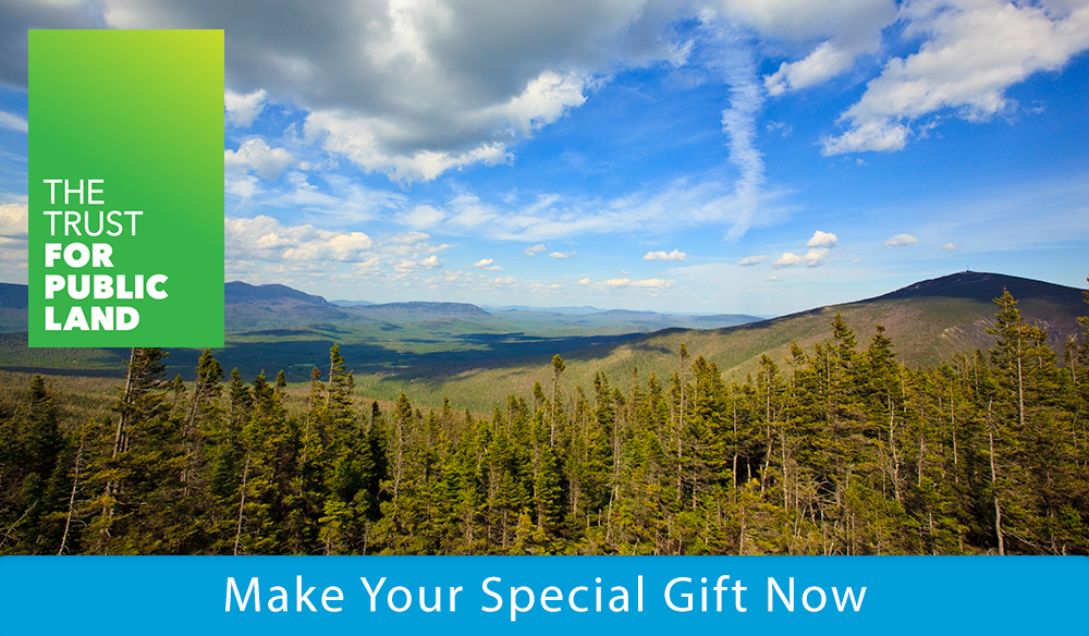 Make your special gift now