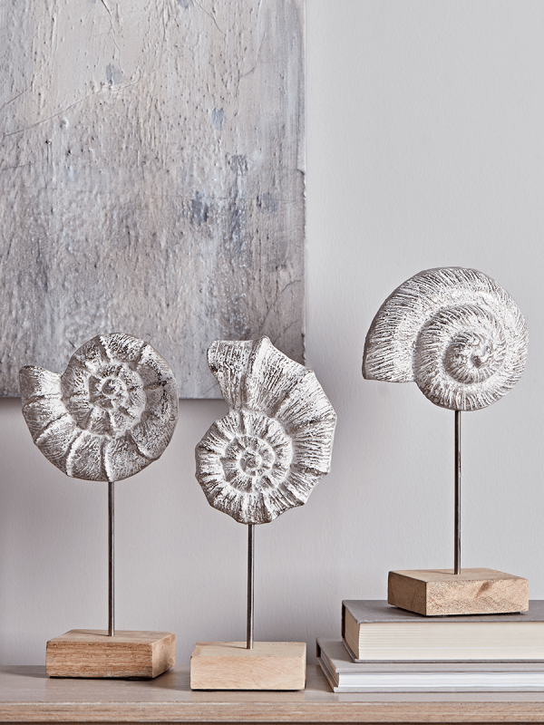 Three Standing Ammonites