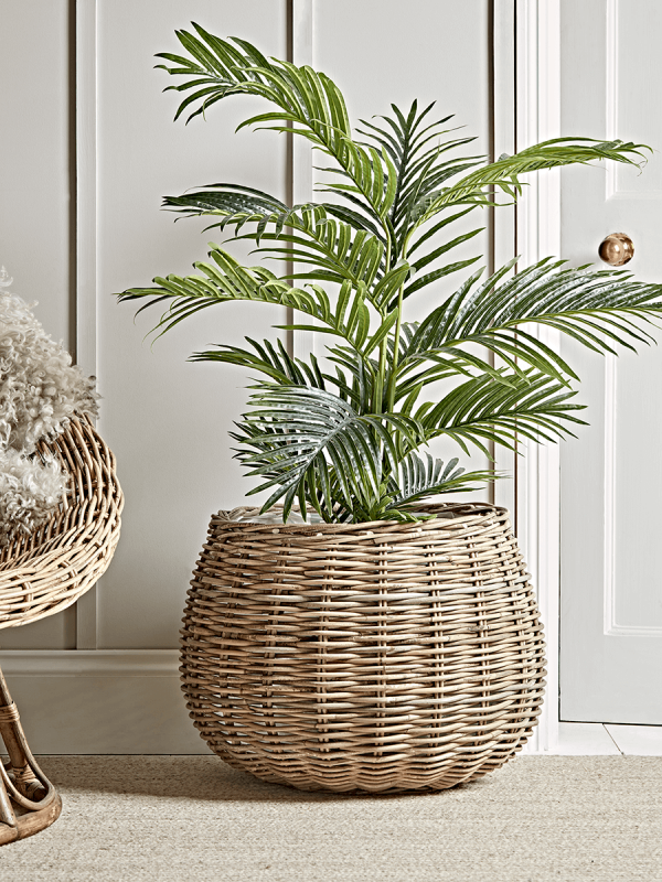 Round Rattan Indoor Planter