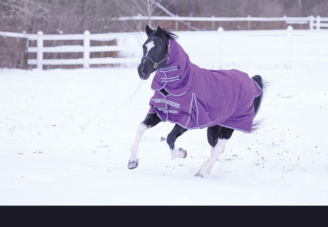 Up to 70% off Turnout and Stable Blankets. Shop early for best selection. 