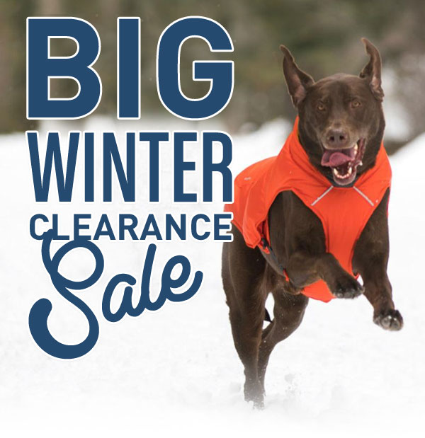 BIG Winter Sale!