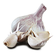 http://www.thegarlicfarm.co.uk/product/large-garlic-bulbs-for-eating?utm_source=Email_Newsletter&utm_medium=Retail&utm_campaign=CV_May20_3