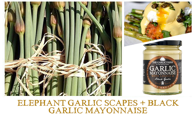https://www.thegarlicfarm.co.uk/product/elephant-garlic-scapes?utm_source=Email_Newsletter&utm_medium=Retail&utm_campaign=CV_May20_3