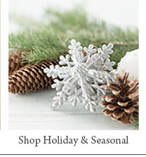 Shop Holiday & Seasonal