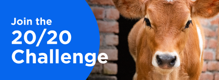 Join the 2020 Challenge