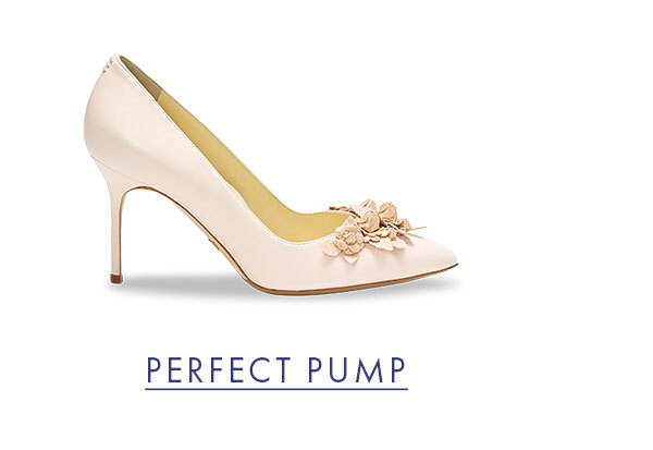 PERFECT PUMP