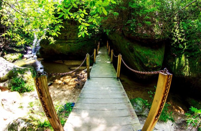 Take An Easy Out-And-Back Trail To Enter Another World At Dismals Canyon In Alabama