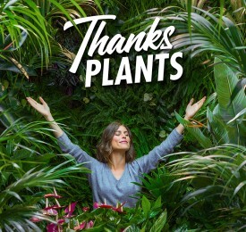 Bedankt plant
