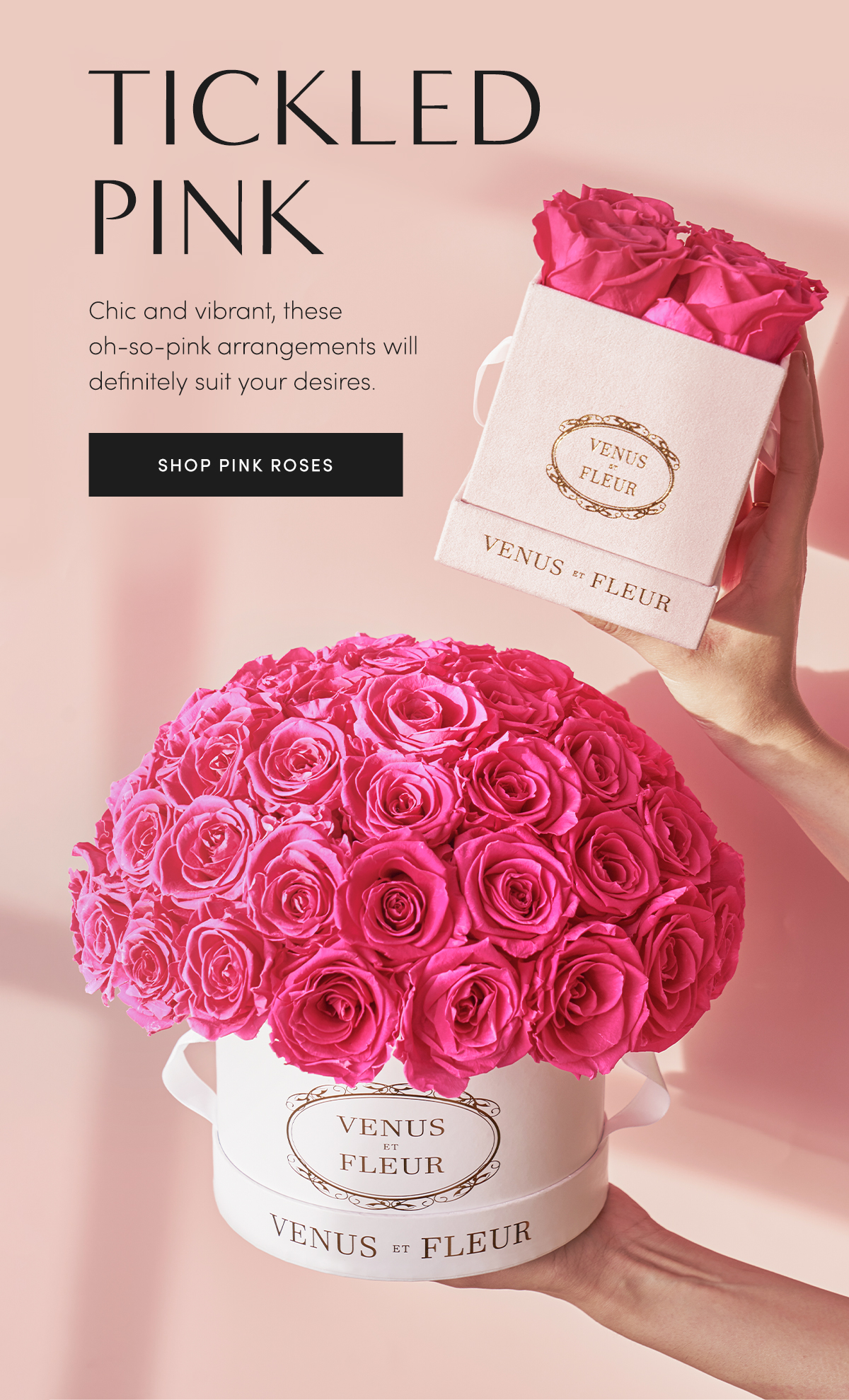 TICKLED PINK | Chic and vibrant, these oh-so-pink arrangements will definitely suit your desires. | SHOP PINK ROSES