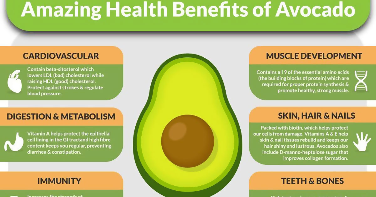 10 Proven Health Benefits of Avocados