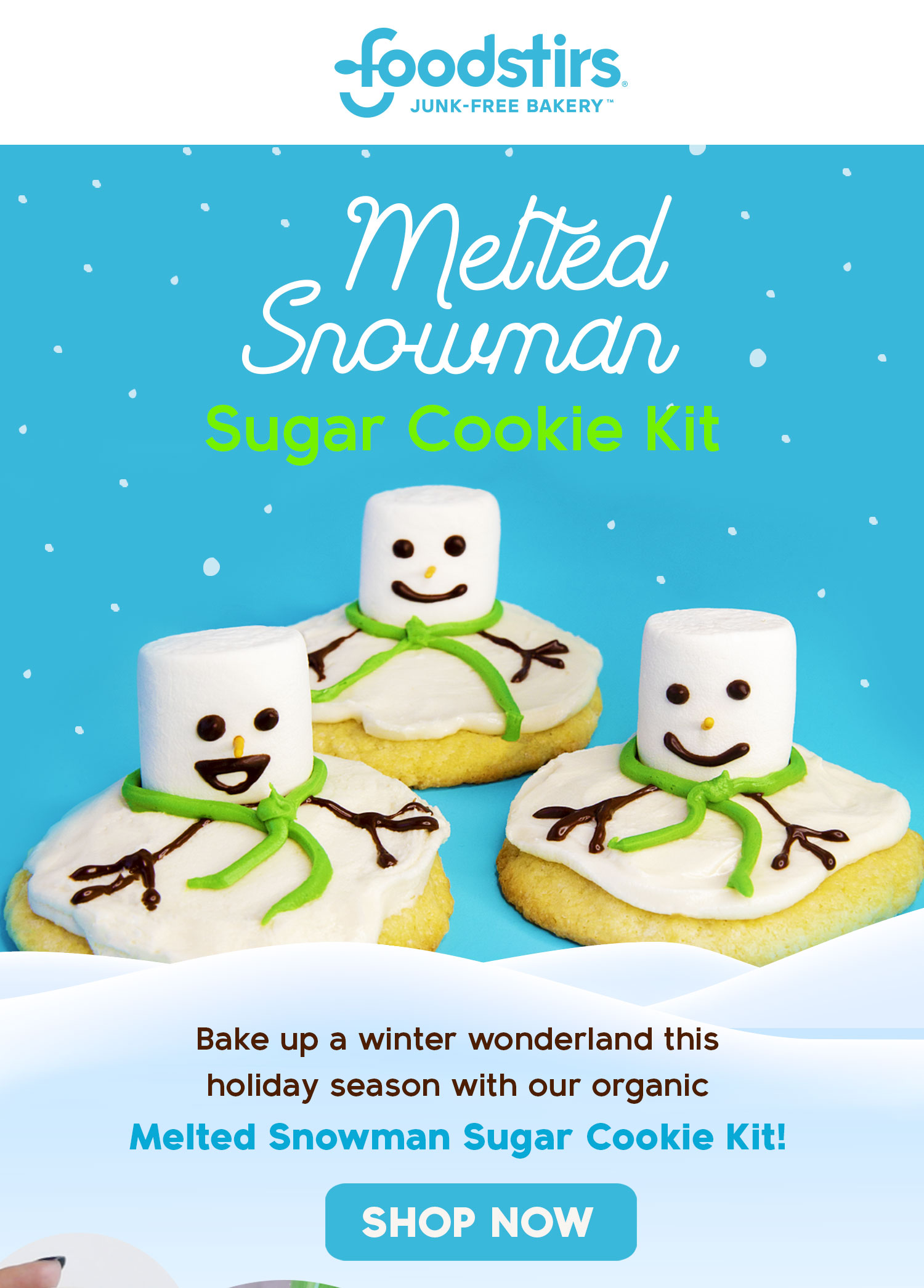 Melted Snowman Cookie Kit