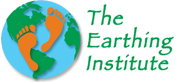 The Earthing Institute