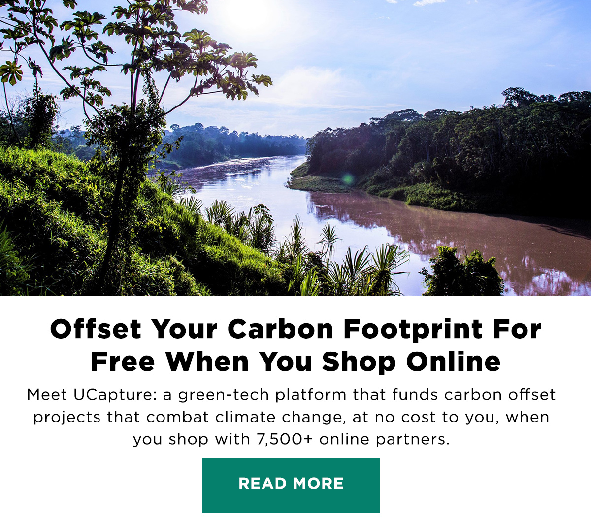 Offset Your Carbon Footprint