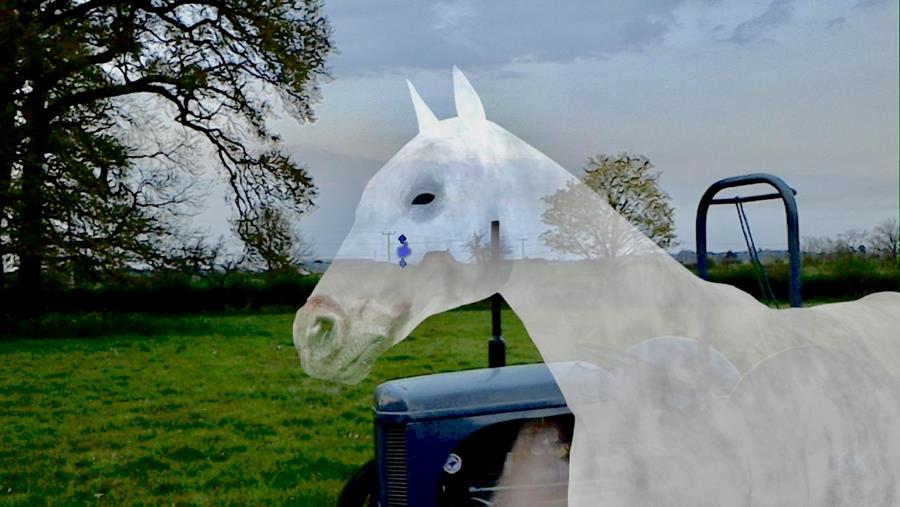 A computer generated horse in a real field