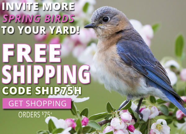 Free Shipping for Orders over $75. Use Code SHIP75H.