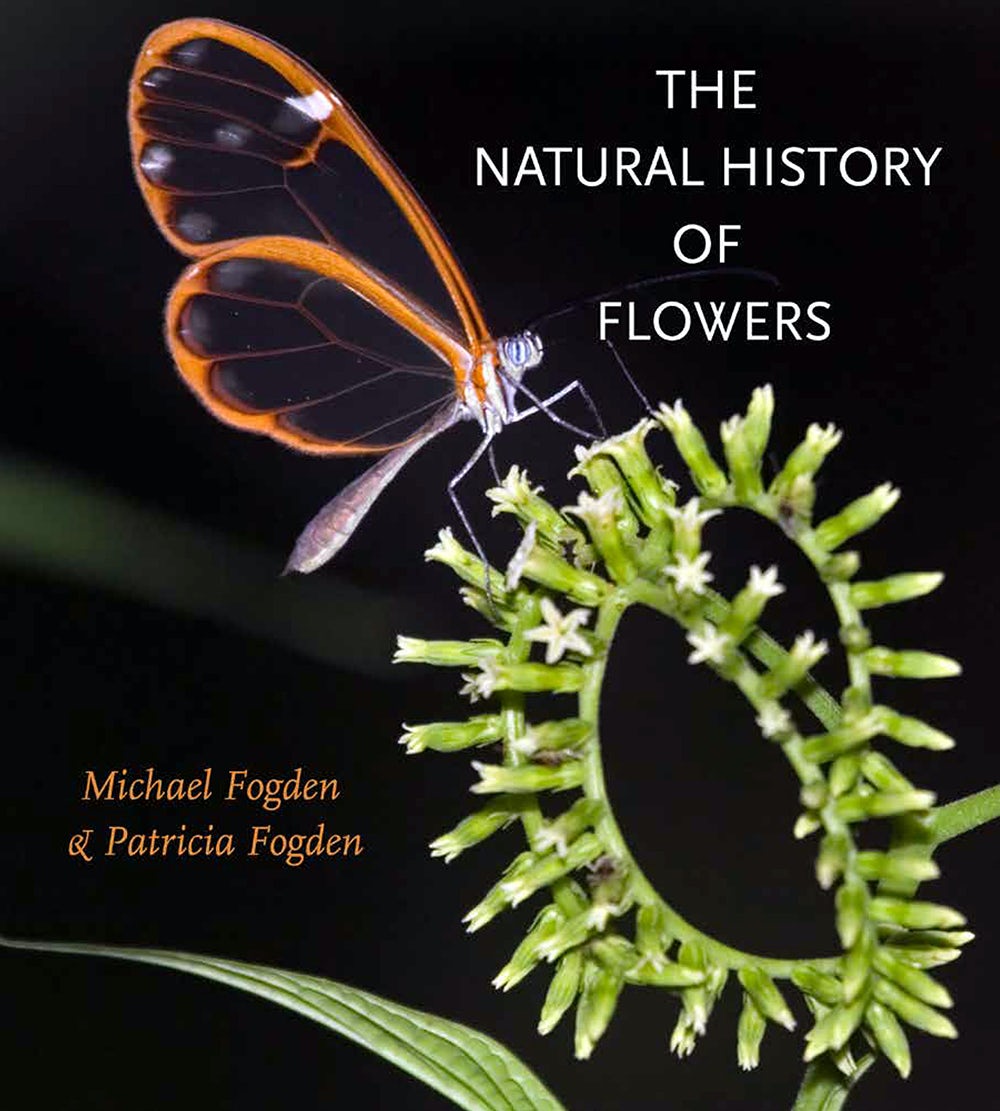 The Natural History of Flowers book cover