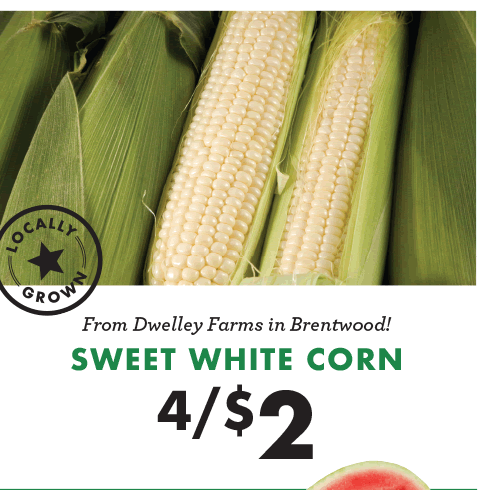 From Dwelley Farms in Brentwood! Sweet White Corn - 4 for $2