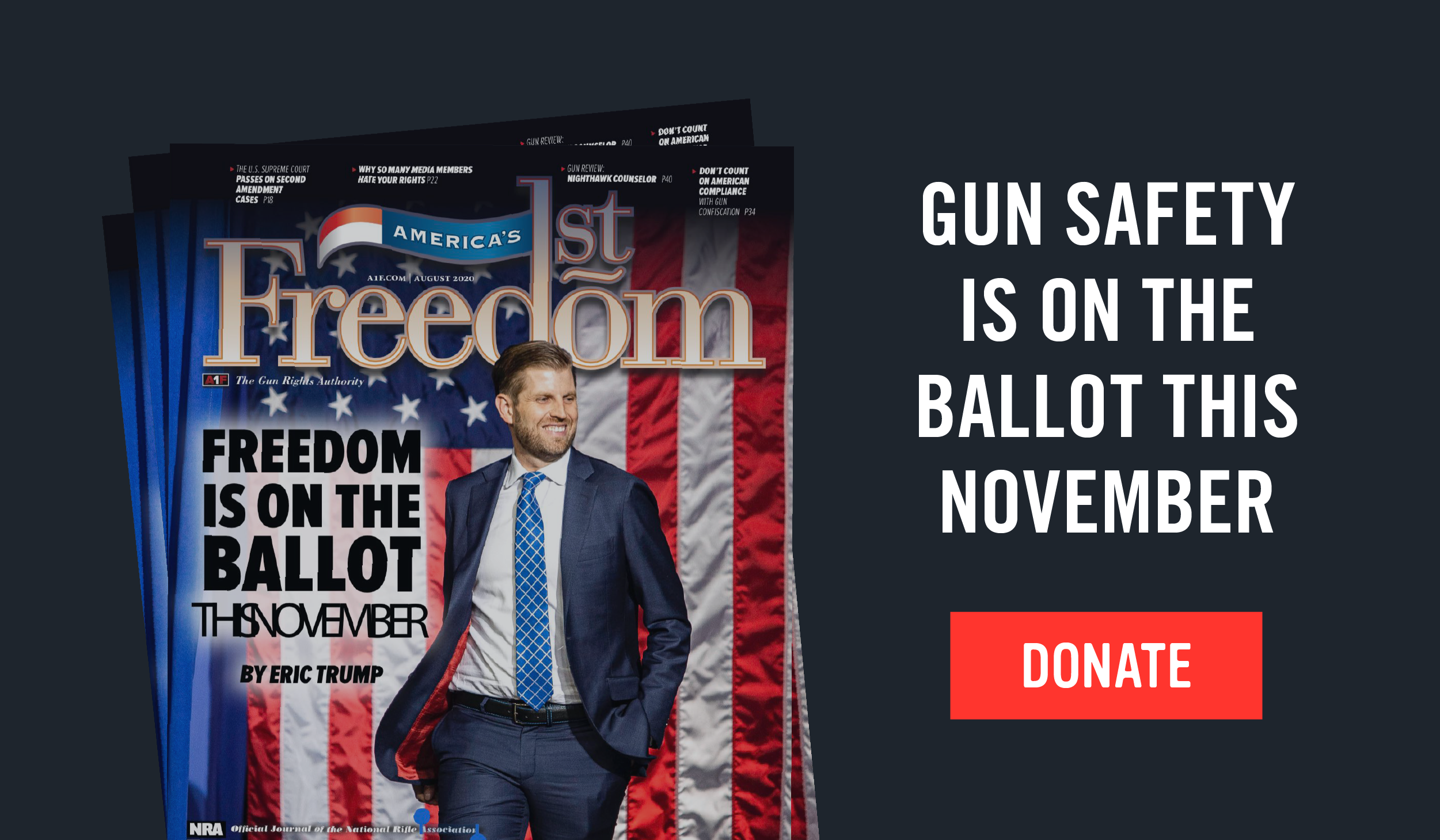 Gun Safety is on the Ballot. Donate Now.
