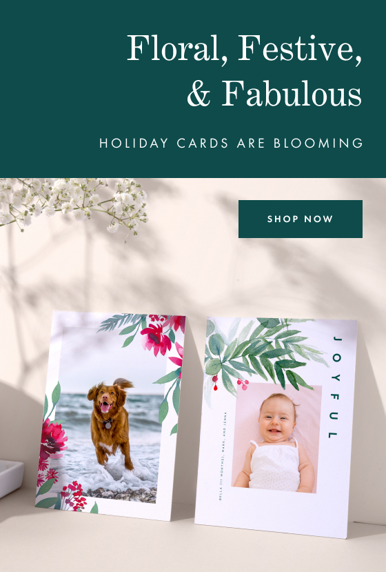 50% off Holiday Cards