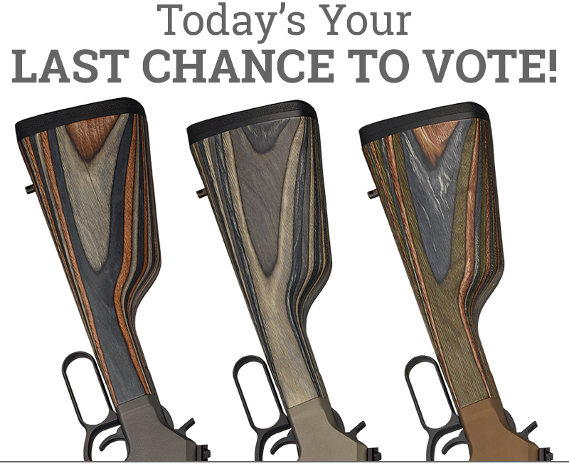 Henry Repeating Long Ranger Models Last Chance to Vote