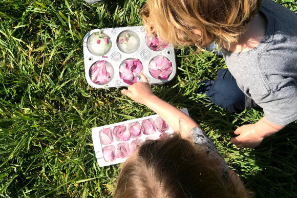 Kids playing with flower petals frozen in ice cubes