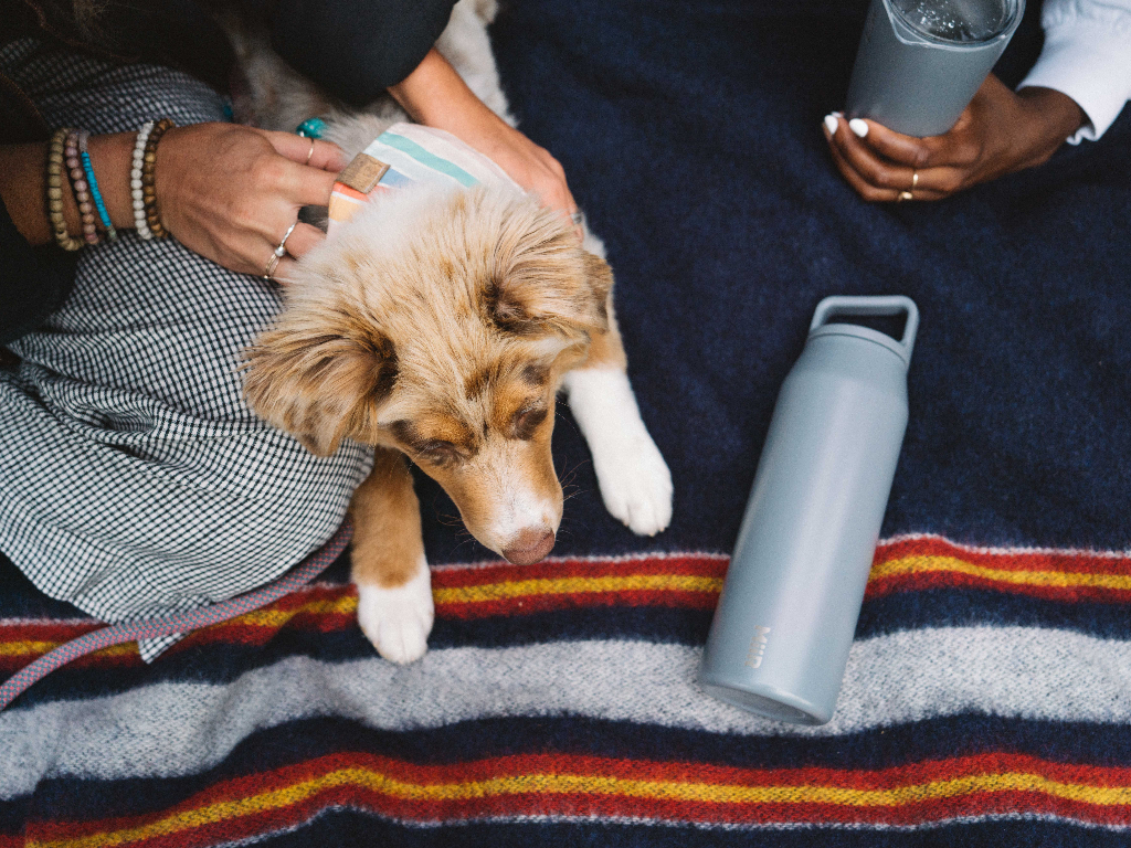 Dog on picnic blanket with 32oz Wide Mouth Bottle in Basal.