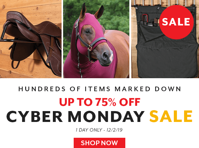 Cyber Monday deals are now live! Up to 75% off, today only!