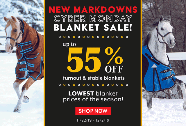 For Cyber Monday, we've added new blanket markdowns. Now up to 55% off, today only!