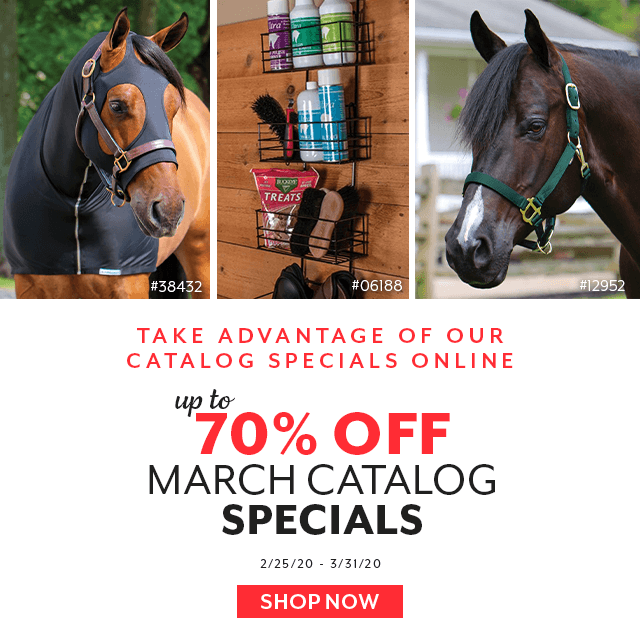 Up to 70% off our March Catalog Specials.
