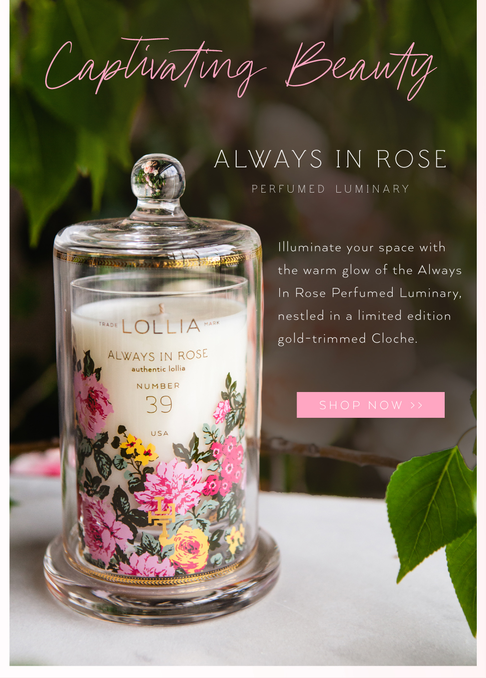 Lollia Always in Rose Luminary Candle