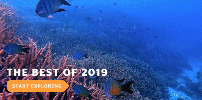 The best of 2019