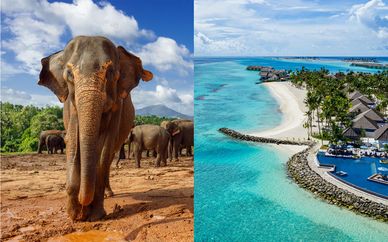 Island Paradise Sri Lanka Tour & SAii Lagoon Maldives, Curio Collection by Hilton 5*