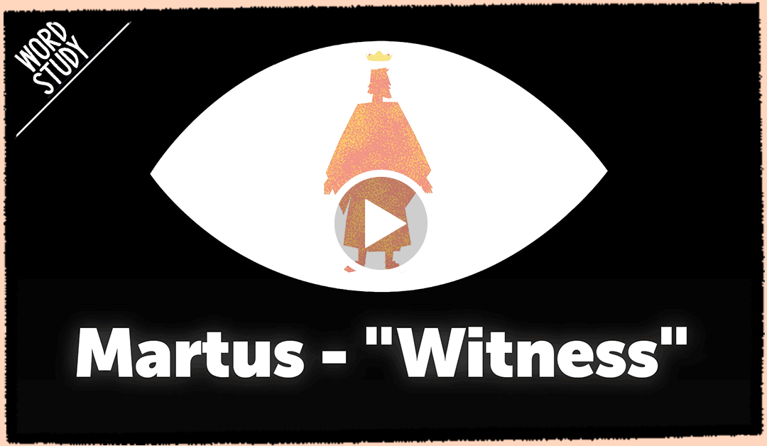 Martus - Witness