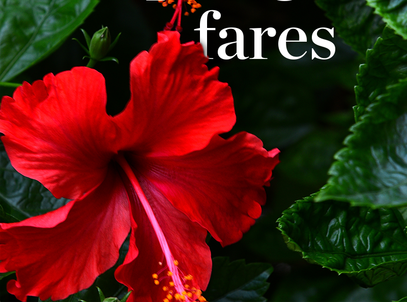 Book your low fare today.^1