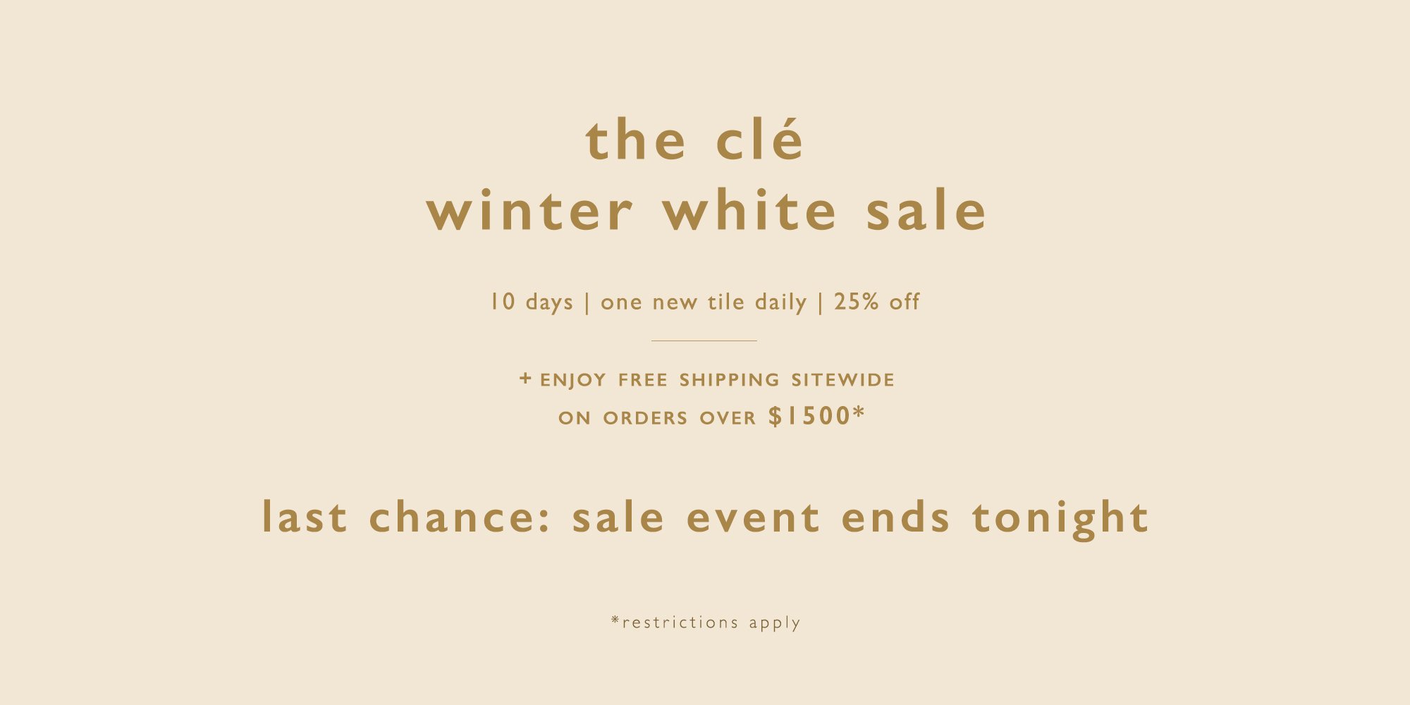 Winter_white_sale_banner_2019_last_day