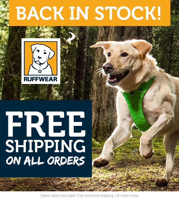 Free Shipping on all orders!