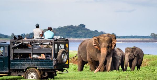 Private Sri Lanka Tour and Amaya Beach Passikudah 4*