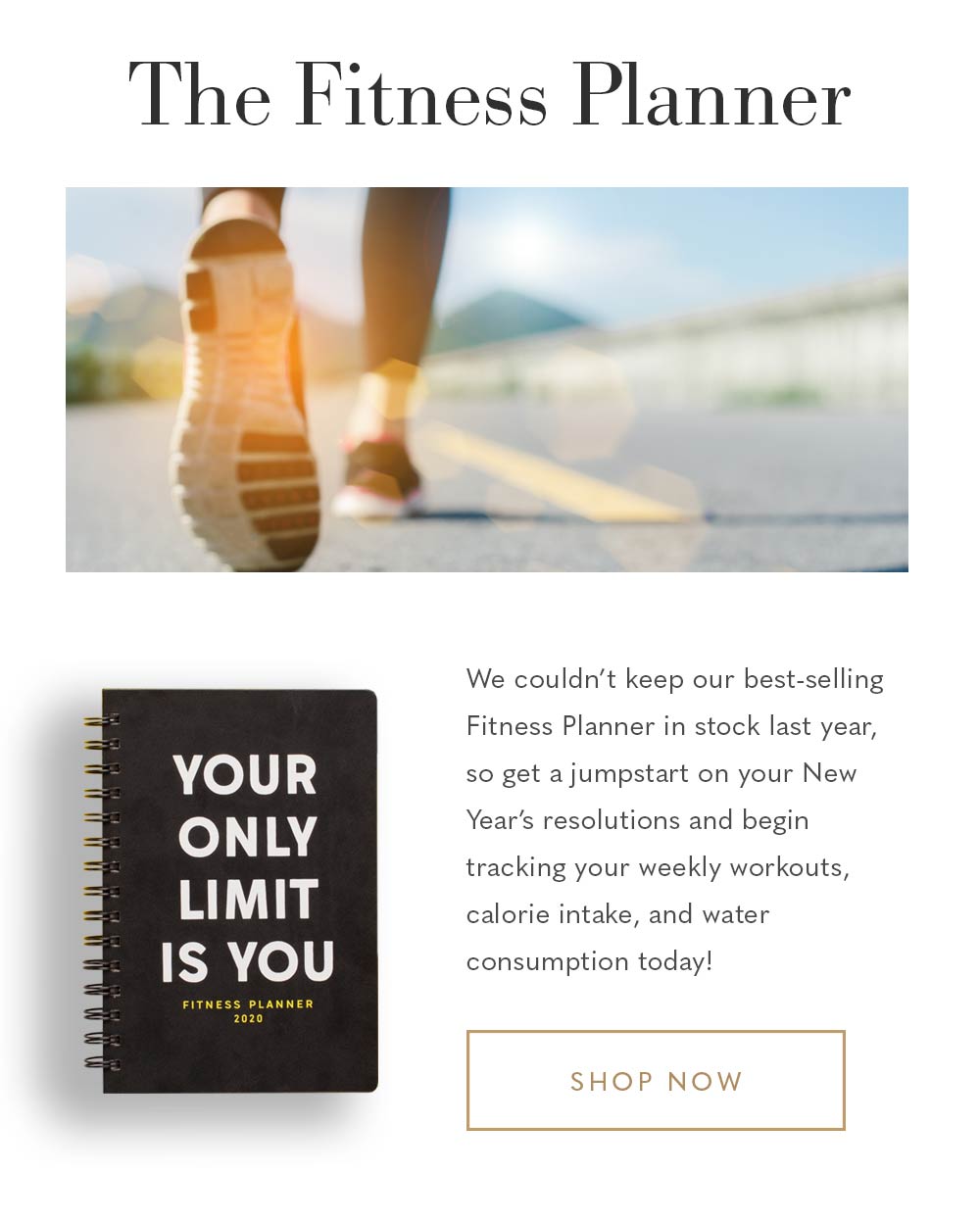 The Fitness Planner