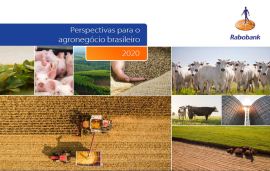 Rabobank projects pesticide sales to exceed US$ 11.5 billion in 2019 in Brazil, up 11%