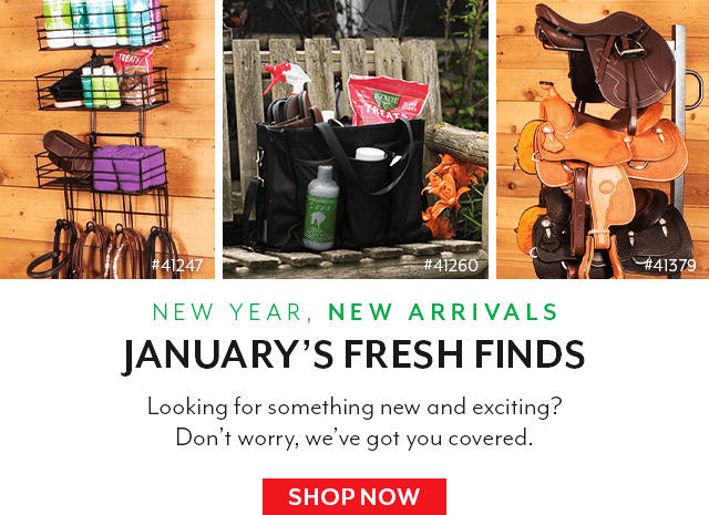 Fresh finds for January.