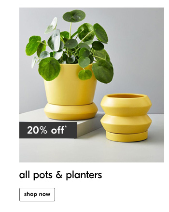 20% off*
All pots & planters
shop now
