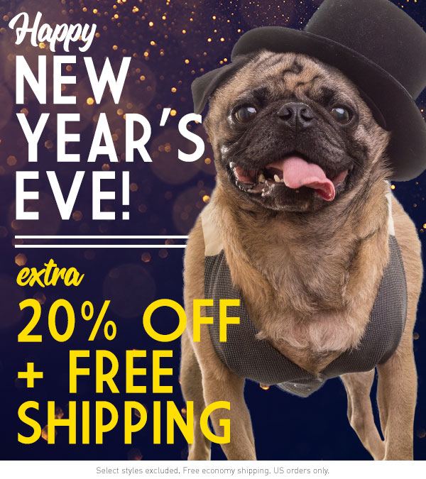 New Year's Eve Sale!