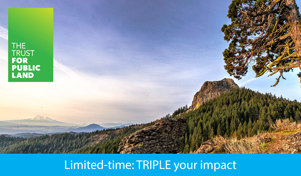 Limited time: TRIPLE your impact 