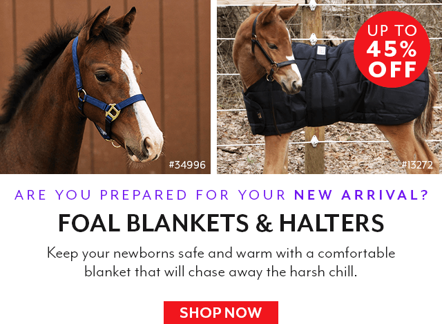 Are you prepared for your new arrival? Up to 45% off foal products.