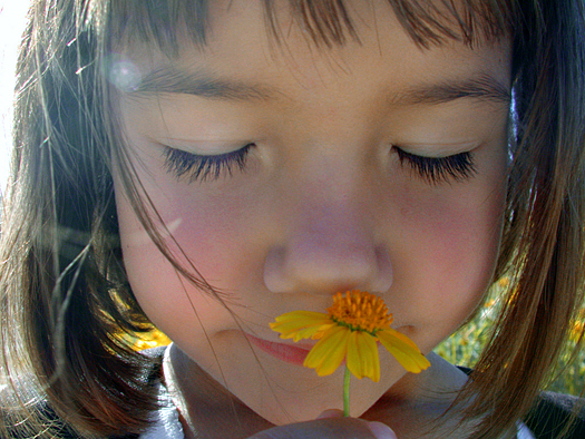 A little girl enjoys a quiet moment smelling the perfume of a wild flower.