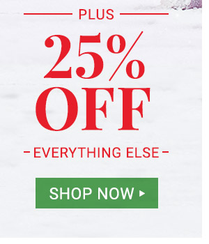 25% off Everything Else