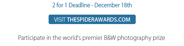 16th Call for Entries Open - visit THESPIDERAWARDS.COM