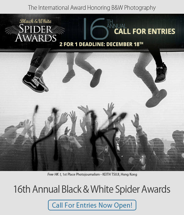 16th Spider Awards - Call for Entries Open