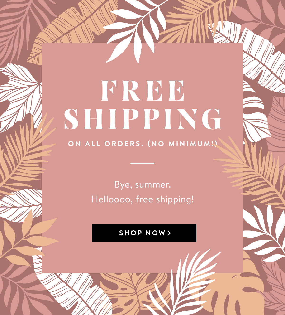 Free Shipping No Minimum | Shop Now