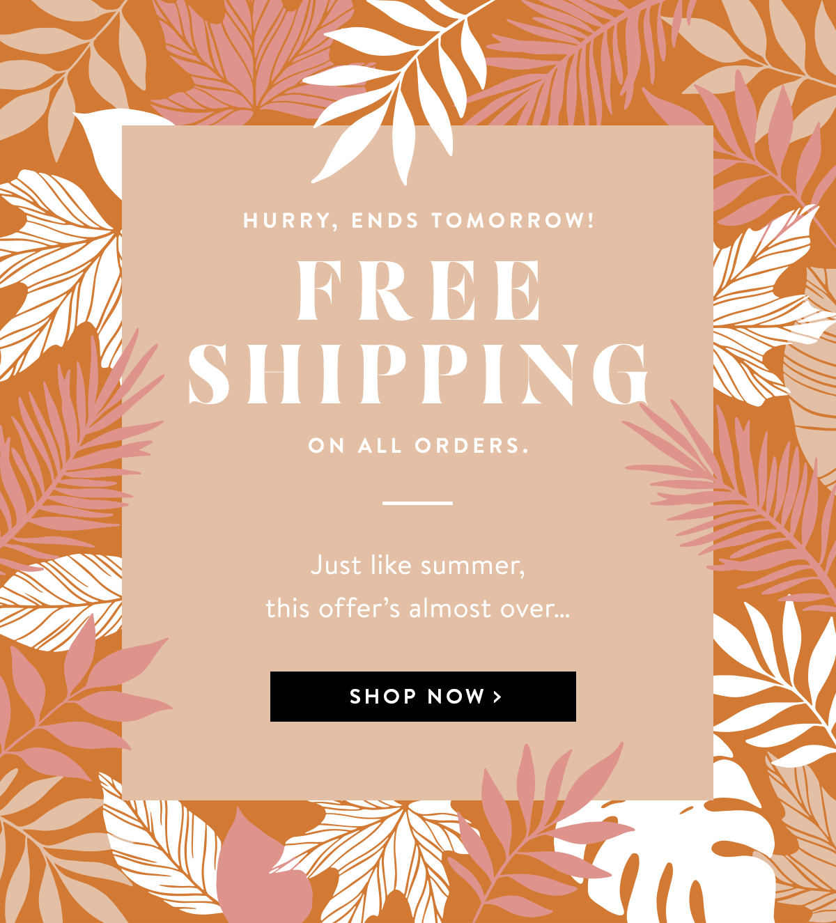 Free Shipping Ends Tomorrow | Shop Now